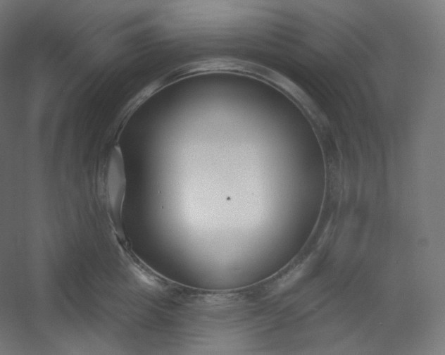 X0000054360857200508121512