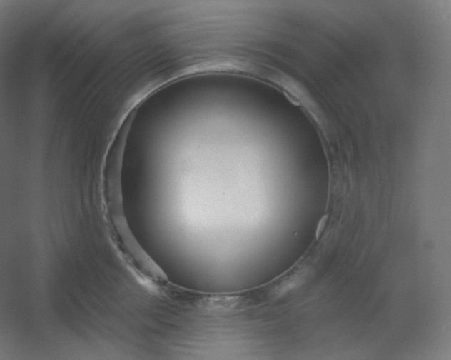 X0000054360858200508121512