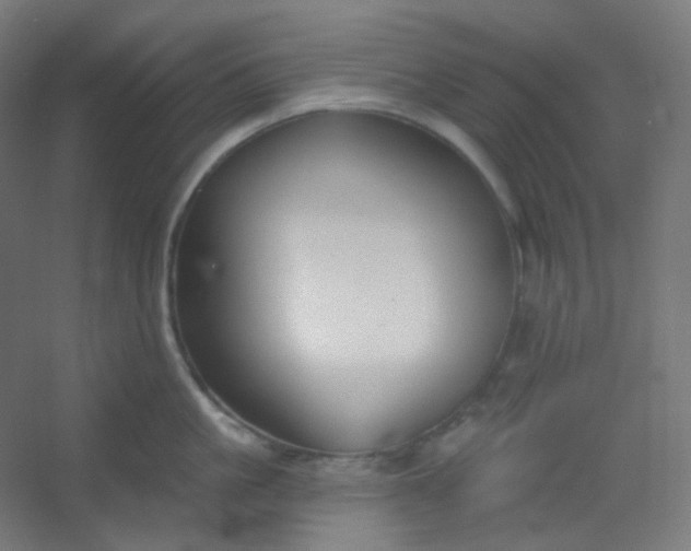 X0000054360861200508121512