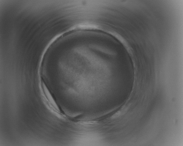 X0000054360864200508121512