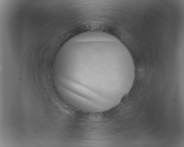 X0000054360865200508121511