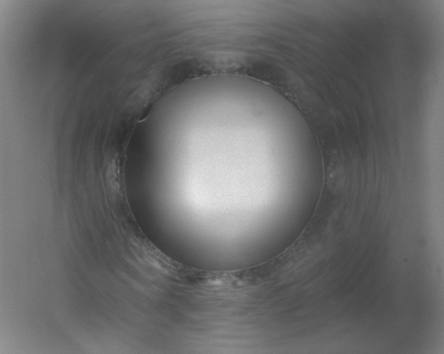 X0000054360866200508121511
