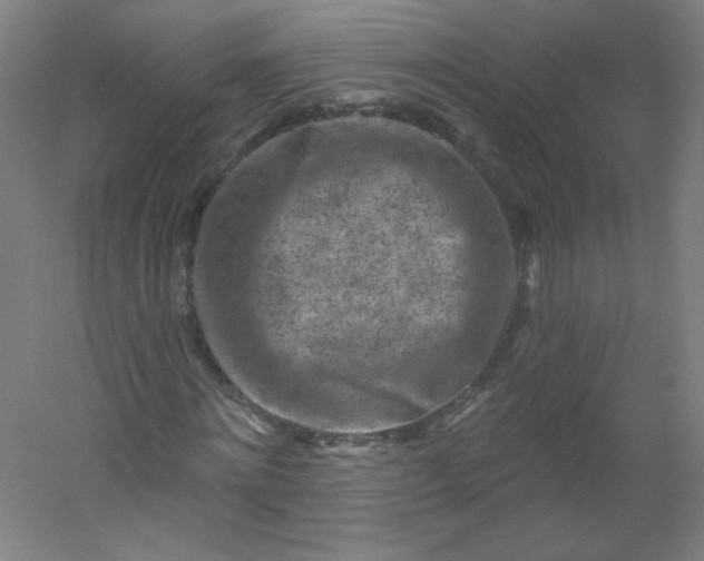 X0000054360868200508121511