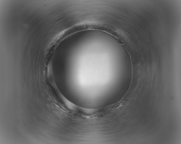 X0000054360872200508121511
