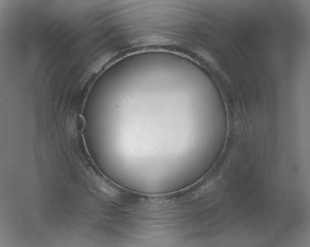 X0000054360873200508121511