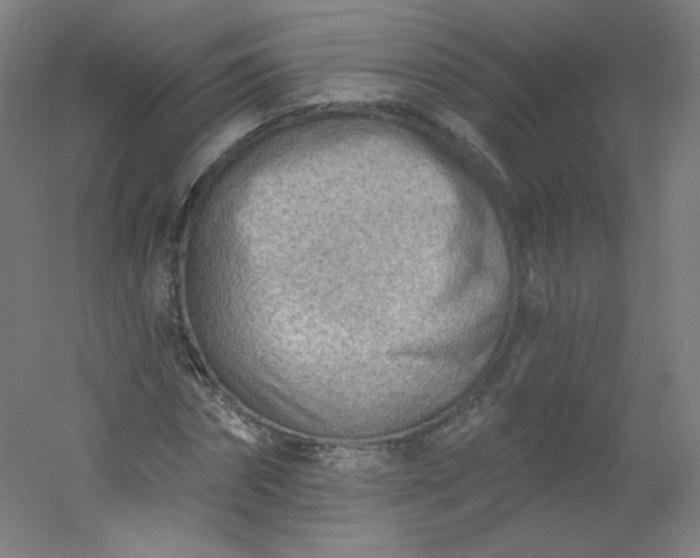 X0000054360874200508121511
