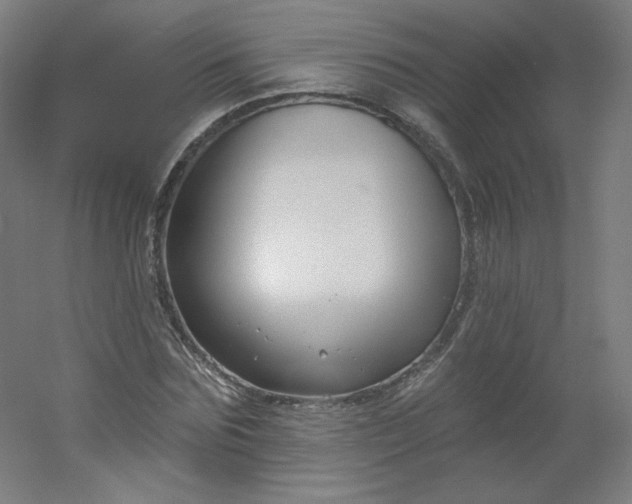 X0000054360875200508121511