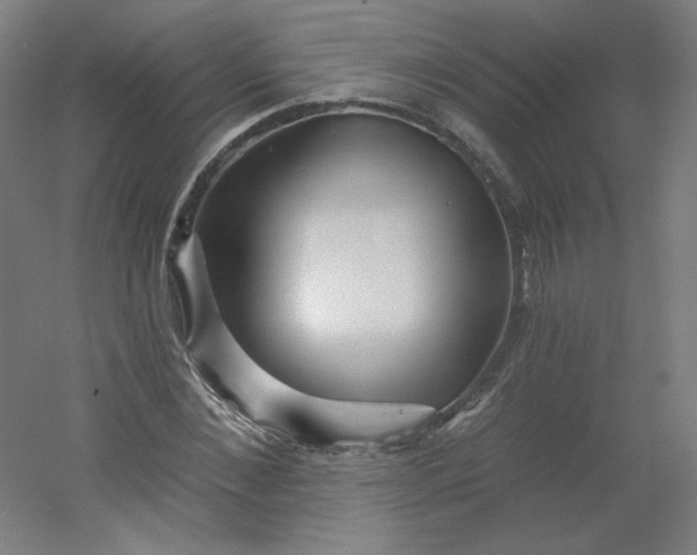 X0000054360876200508121511