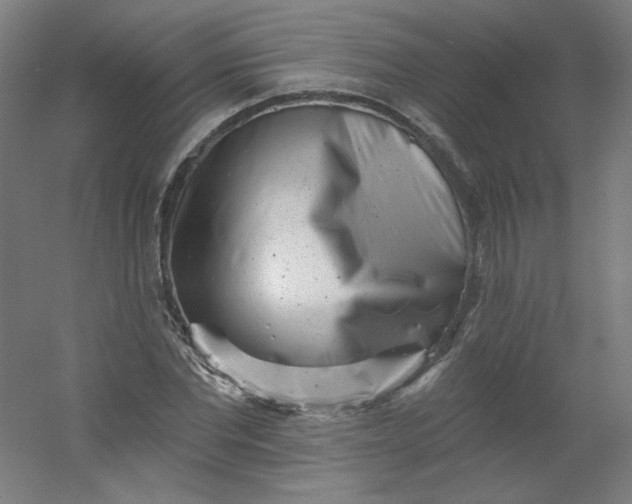 X0000054360877200508121511