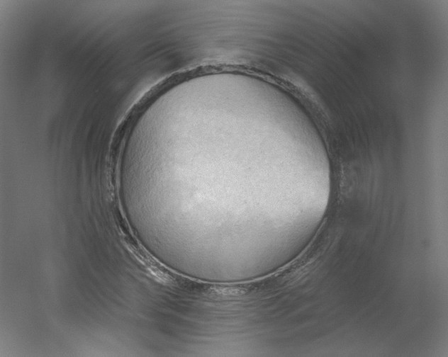 X0000054360878200508121511