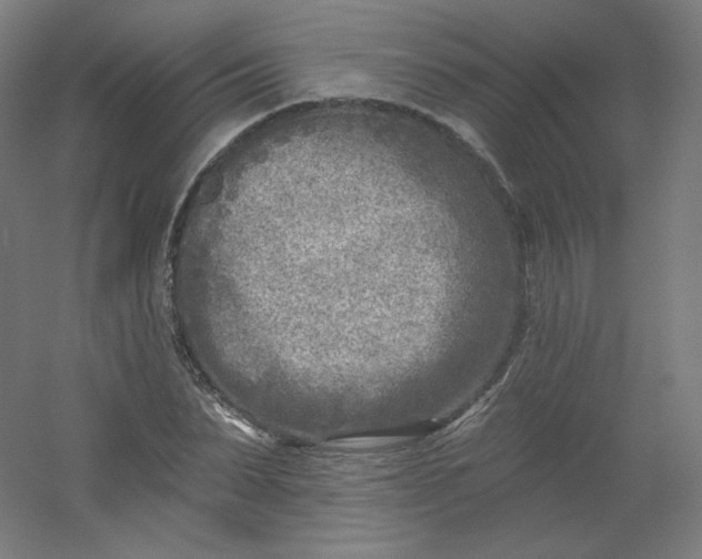 X0000054360879200508121511