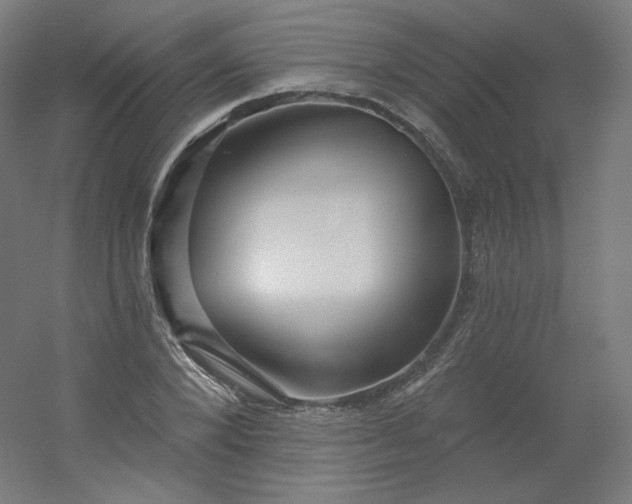 X0000054360880200508121511