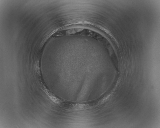X0000054360881200508121511