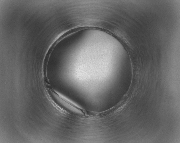 X0000054360884200508121511