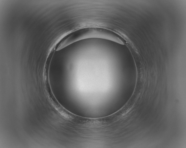 X0000054360885200508121511