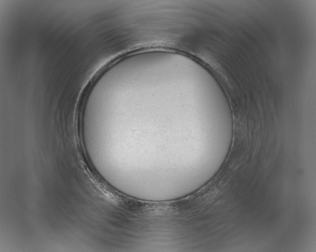 X0000054360886200508121511