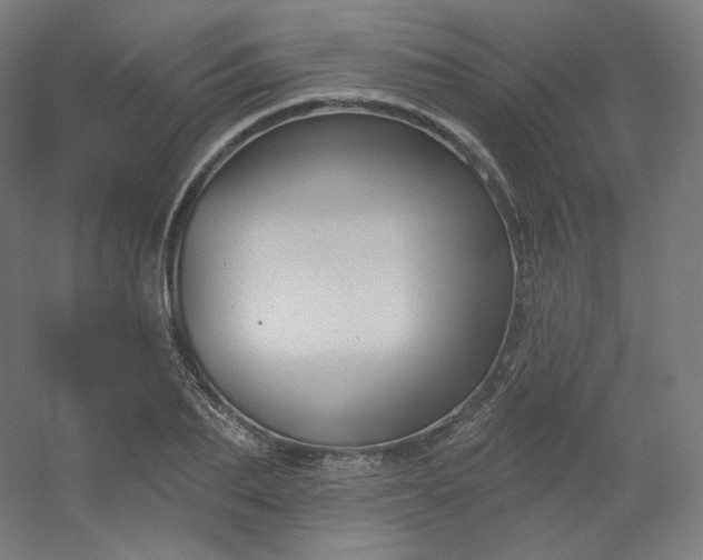 X0000054360887200508121511