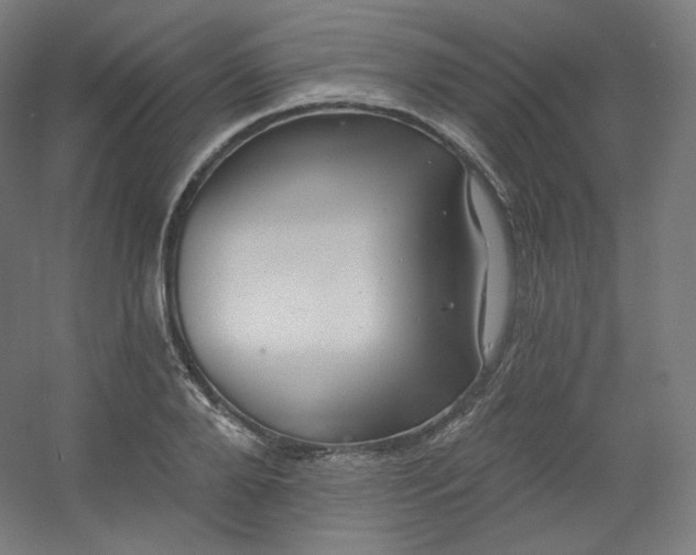 X0000054360888200508121511