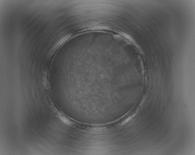 X0000054360889200508121511