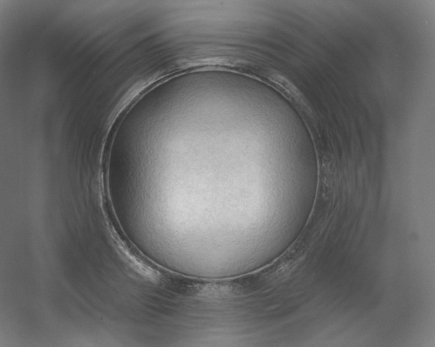 X0000054360890200508121511