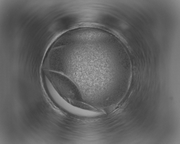 X0000054360891200508121511