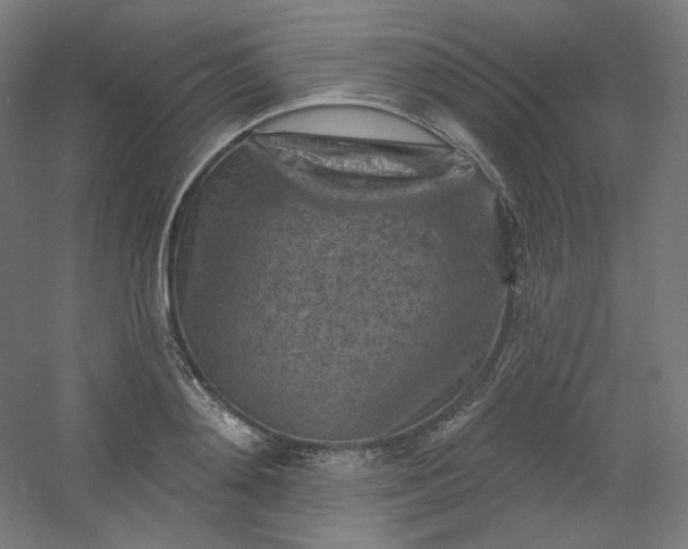 X0000054360892200508121511
