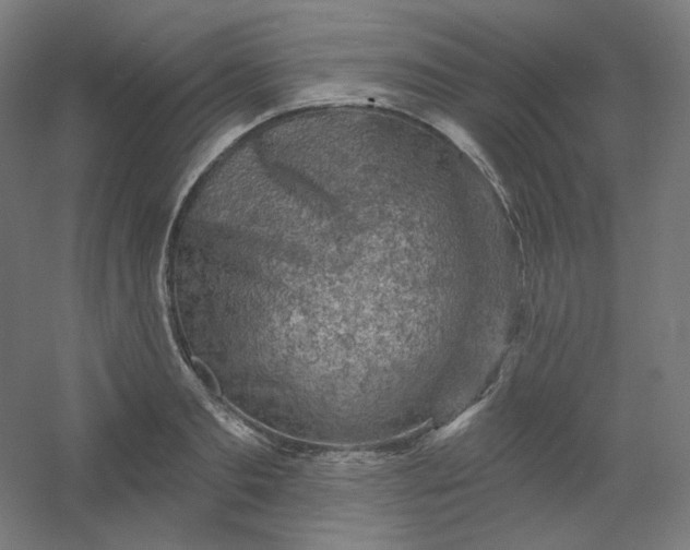 X0000054360893200508121511