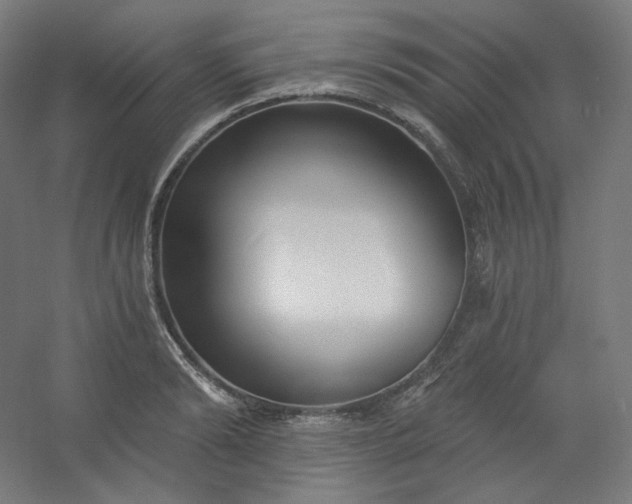 X0000054360894200508121511