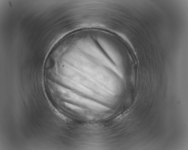 X0000054360895200508121511