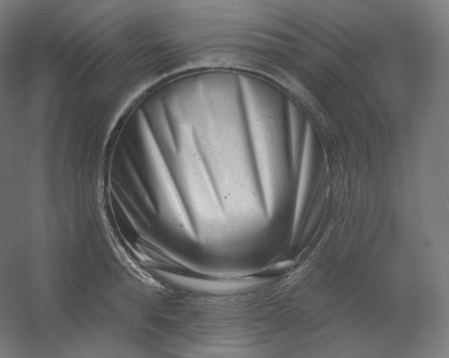 X0000054360896200508121511