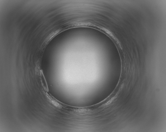 X0000054360897200508121511
