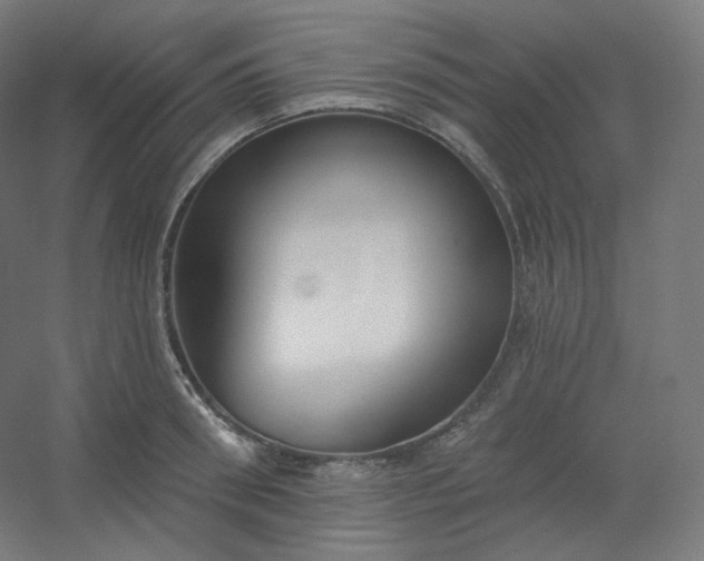 X0000054360898200508121511