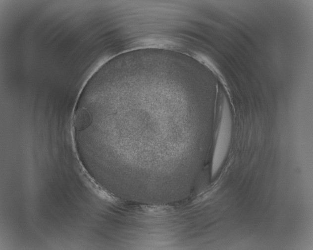 X0000054360899200508121511
