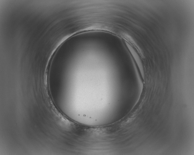 X0000054360900200508121511
