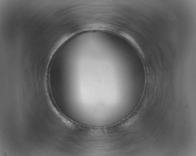X0000054360901200508121511