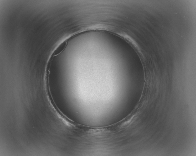 X0000054360902200508121511