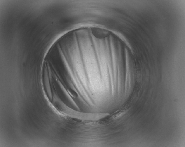 X0000054360903200508121511