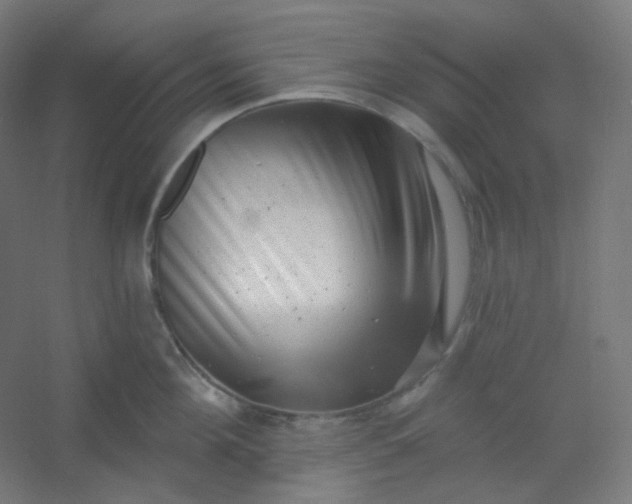 X0000054360908200508121511