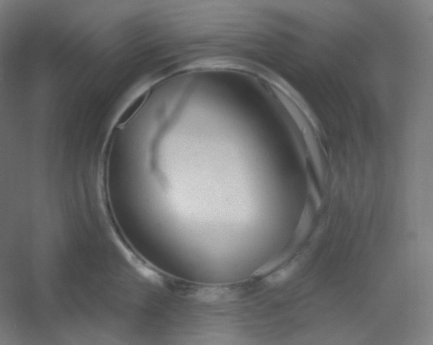 X0000054360909200508121511
