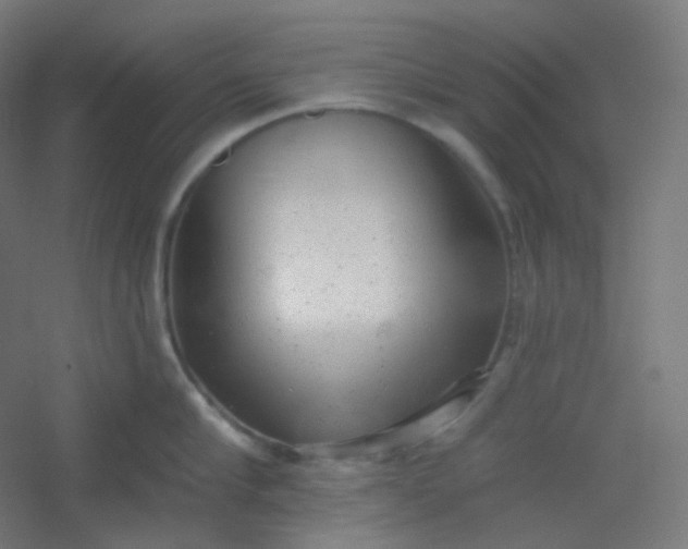 X0000054360910200508121511