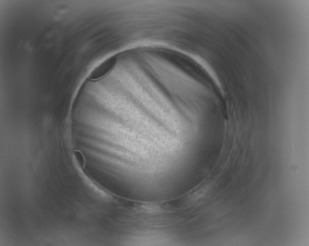 X0000054360911200508121511