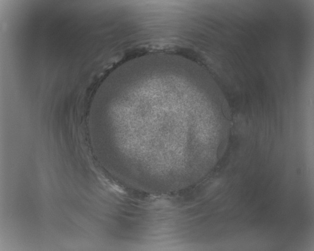X0000054360913200508121510