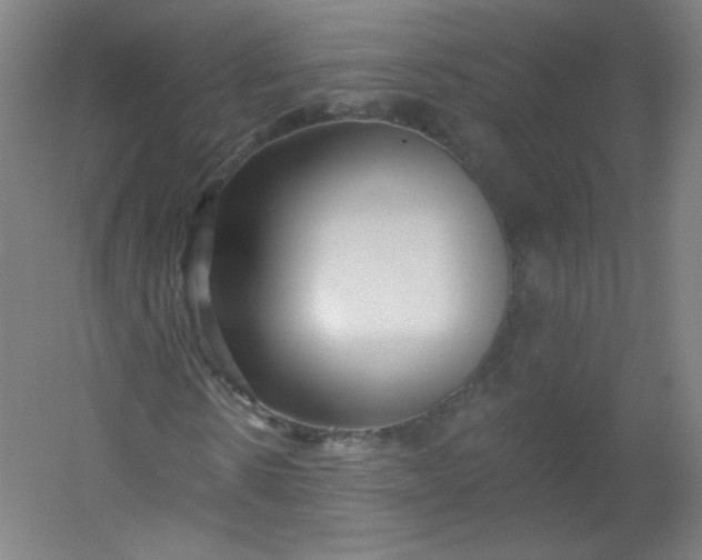 X0000054360914200508121510