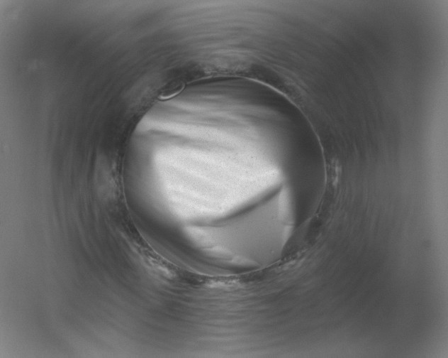 X0000054360915200508121510