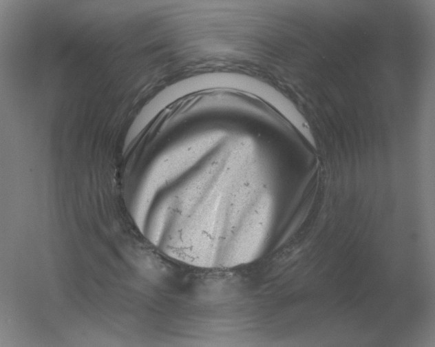 X0000054360916200508121510