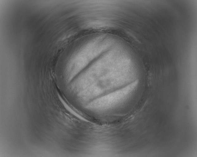 X0000054360917200508121510
