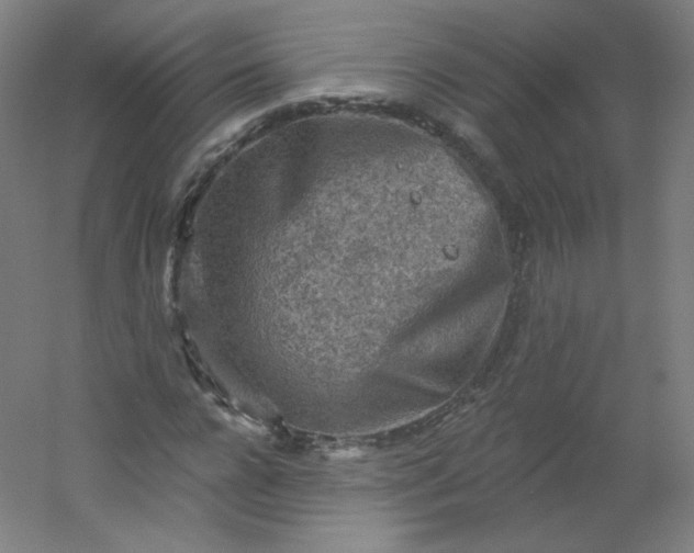 X0000054360920200508121510