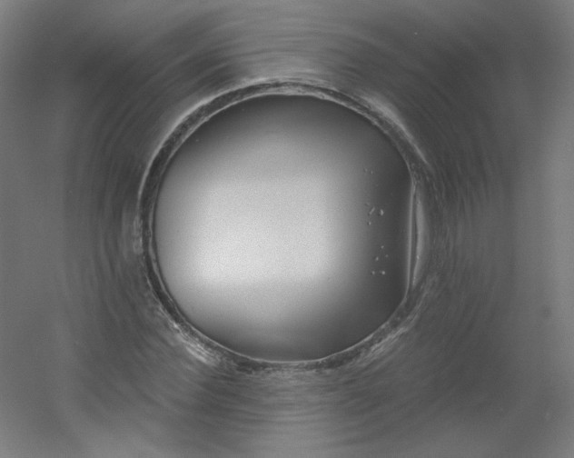 X0000054360924200508121510