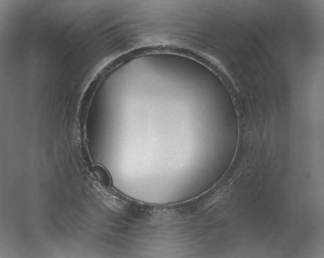 X0000054360927200508121510