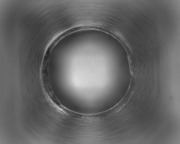 X0000054360928200508121510